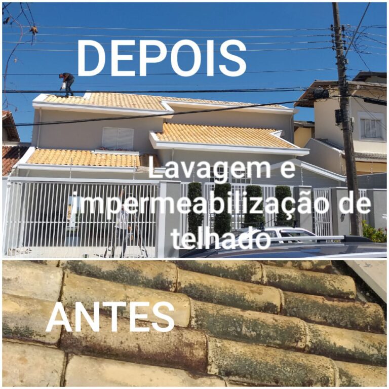 WhatsApp Image 2026-02-09 at 11.02.47